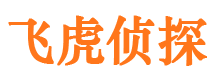 佛冈婚外情调查取证